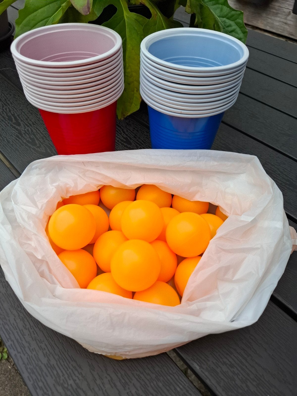 Beer Pong Set: 24 Bekers (Rood/Blauw) & 23 Balletjes, Ophalen of Verzenden, Nieuw