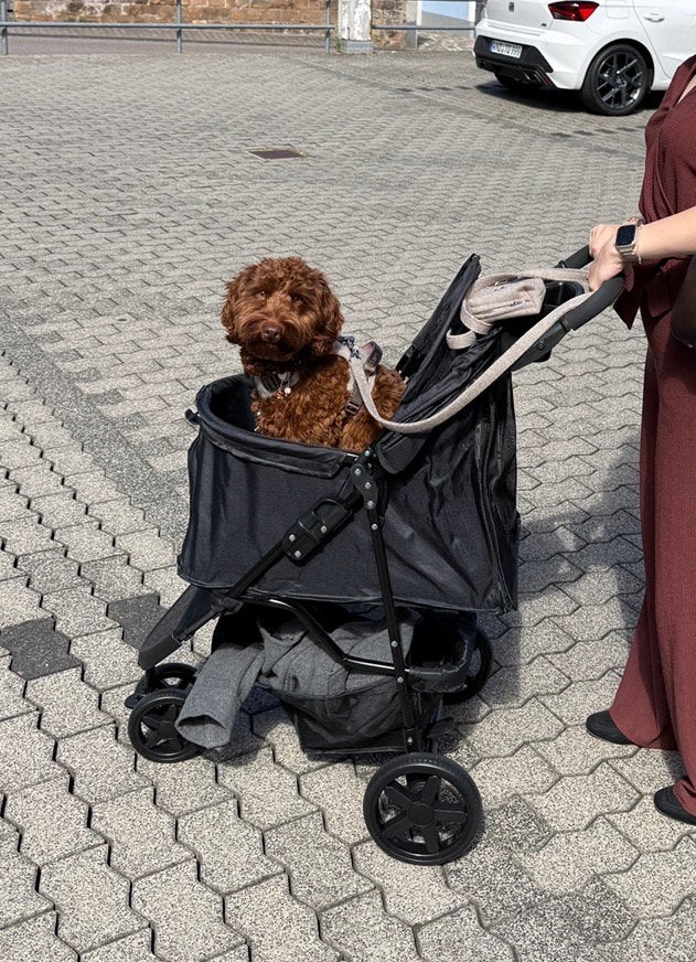 Honden wagen tot 15 kg, Ophalen, Nieuw