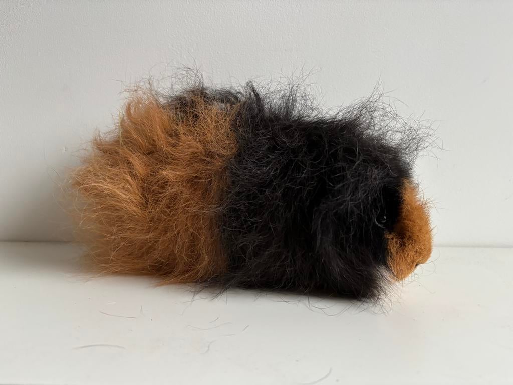CH-Teddy cavia beer (2,5 jaar), Dieren en Toebehoren, Knaagdieren, Cavia, Mannelijk, November, Tam