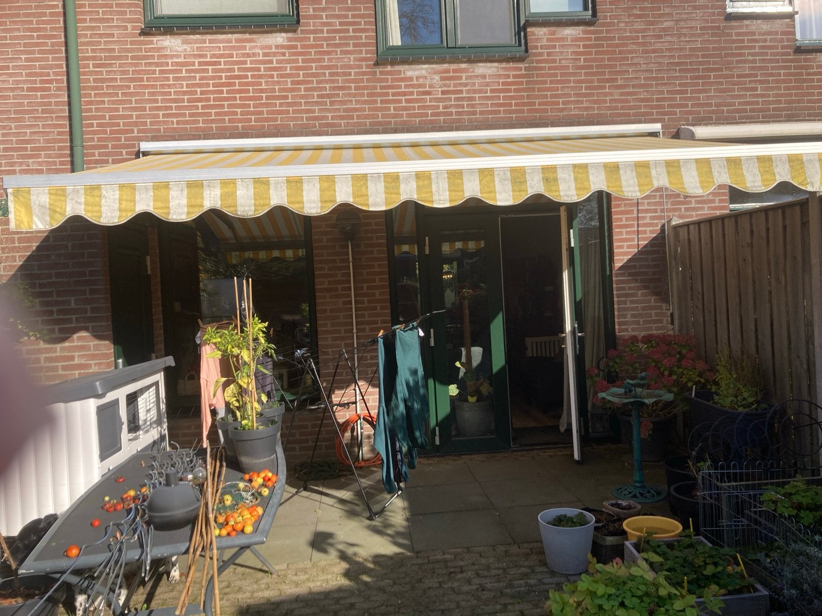 Gestreepte knikarmscherm - geel/wit, Ophalen, Gebruikt, 450 cm of meer, 150 tot 300 cm