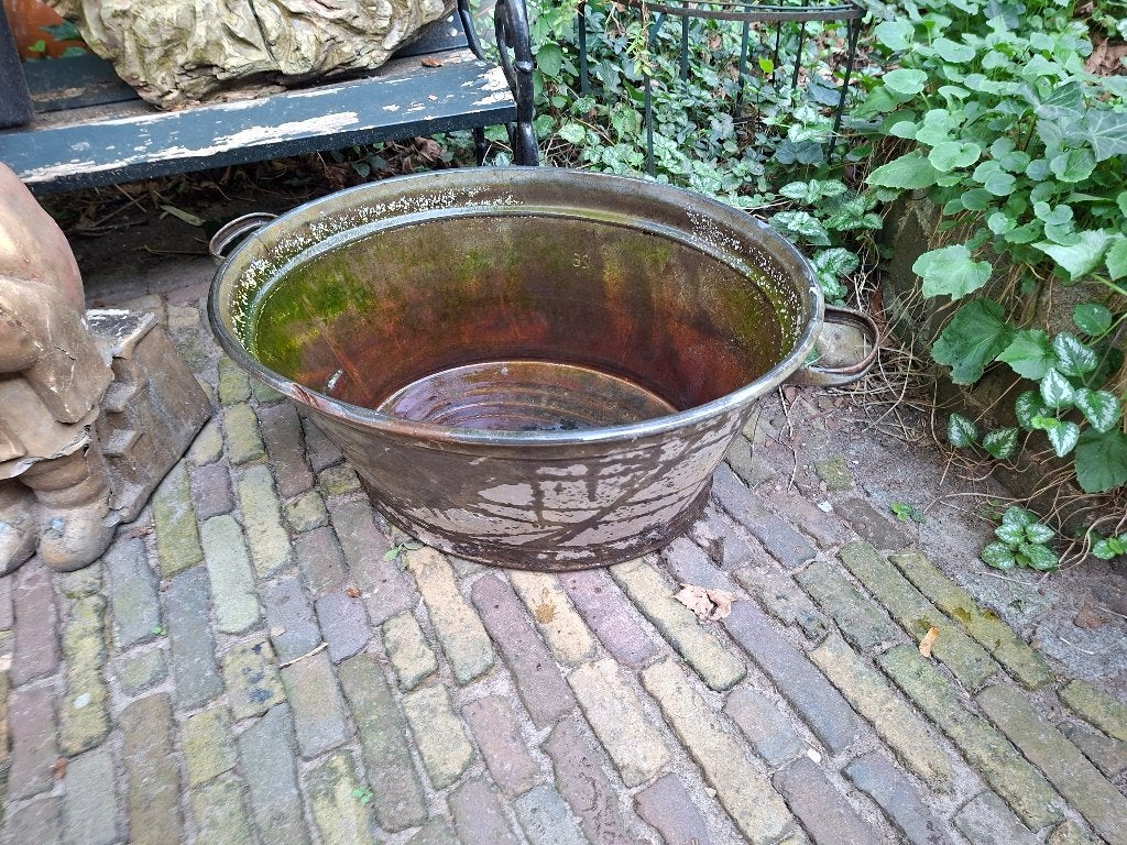 teil oude zinken, Tuin en Terras, Ophalen, Gebruikt, Metaal, 30 tot 60 cm