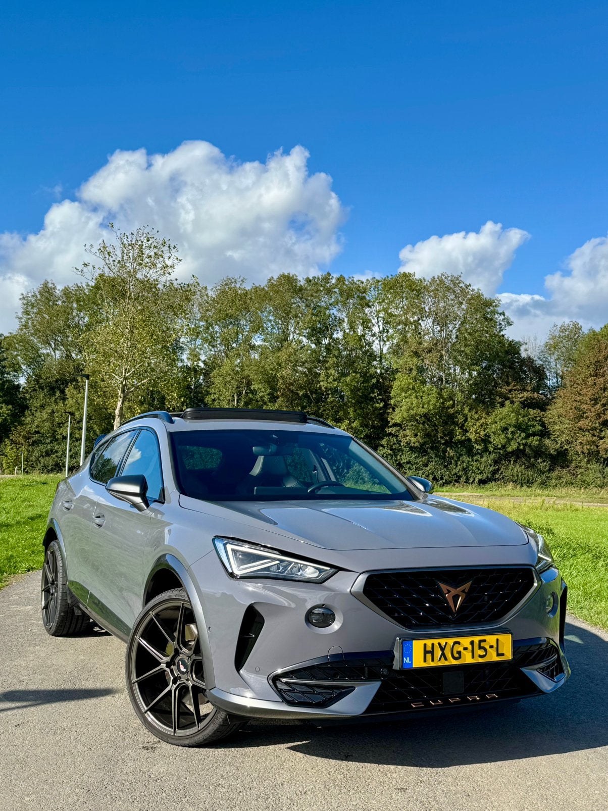 Cupra Formentor 1.4 E-hybrid 245pk Dsg-6 2022 Grijs, Zwart, 4 cilinders, Formentor, Leder en Stof