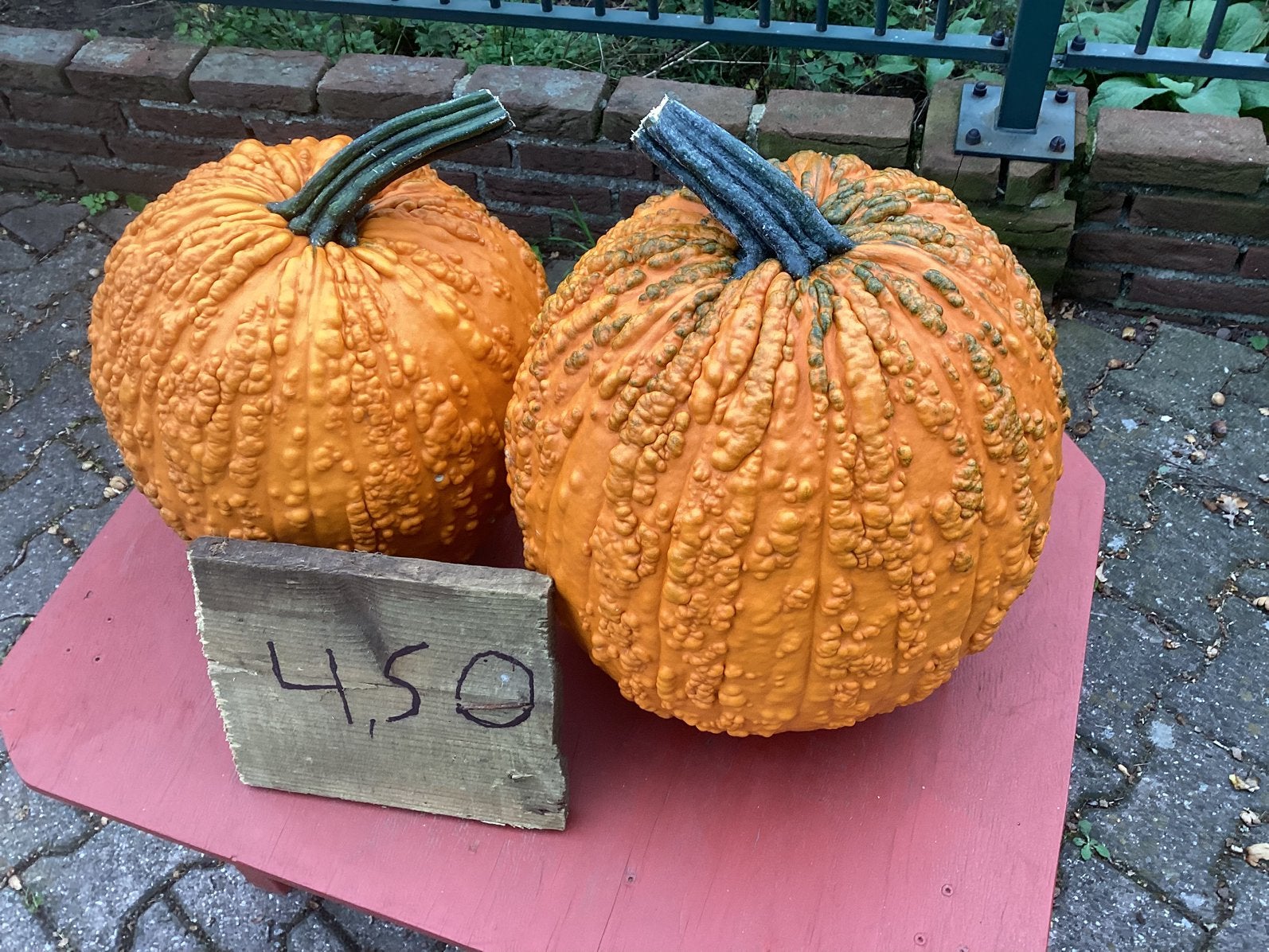 Pompoenen, Ophalen, Zo goed als nieuw