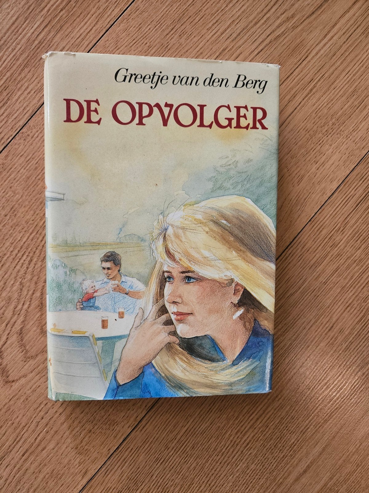 De opvolger van Greetje van den Berg, Ophalen of Verzenden, Gelezen, Greetje van den Berg, Noord-Brabant
