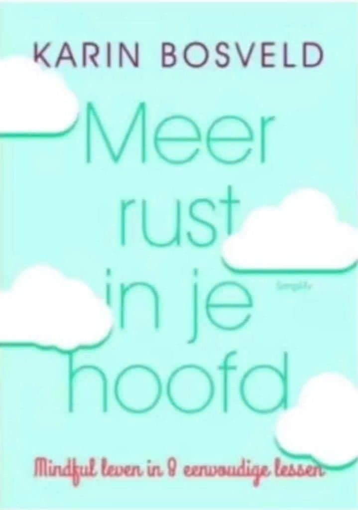 Meer rust in je hoofd (mindful leven in 8 eenvoudige lessen), Ophalen of Verzenden, Zo goed als nieuw