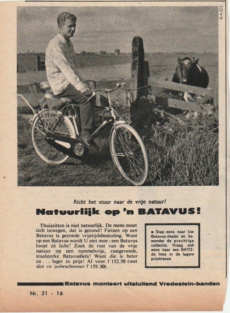 retro reclame 1958 Batavus fiets jongen  bij de koeien, Verzenden, Overige typen