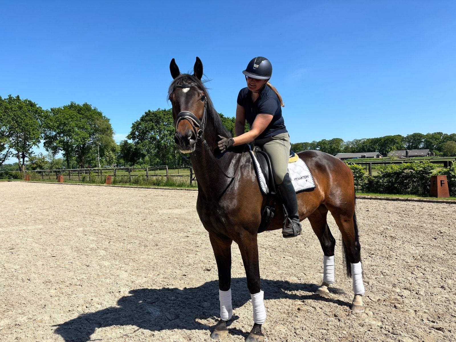 Fijne ruin met wissel, Ruin, Dressuurpaard, 3 tot 6 jaar