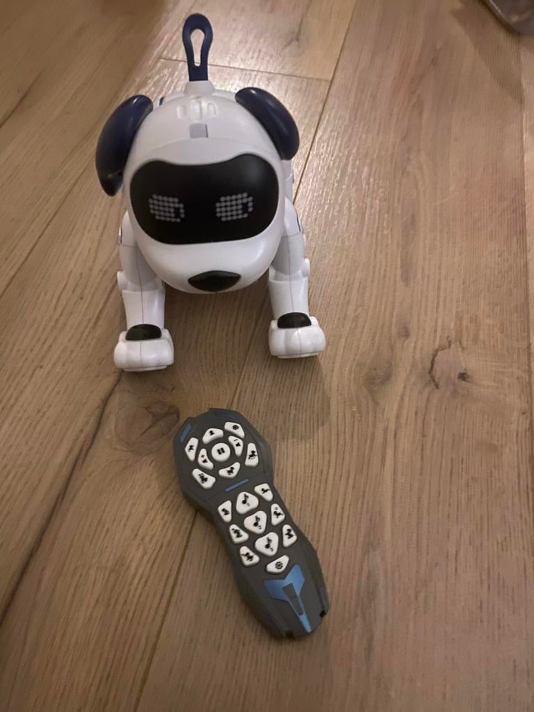 Interactieve Robothond met Afstandsbediening, Ophalen, Gebruikt, Jongen of Meisje