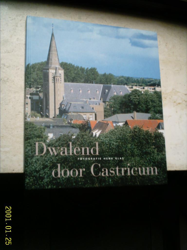 Dwalend door Castricum(Henk Glas, ISBN 9090154124)., Boeken, Ophalen of Verzenden, Zo goed als nieuw