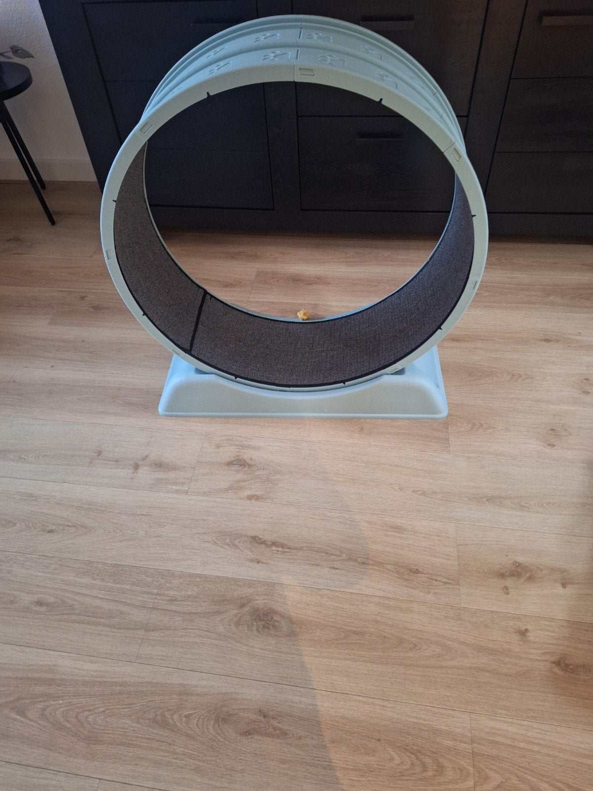 Katten looprad, Dieren en Toebehoren, Ophalen, Overig speelgoed