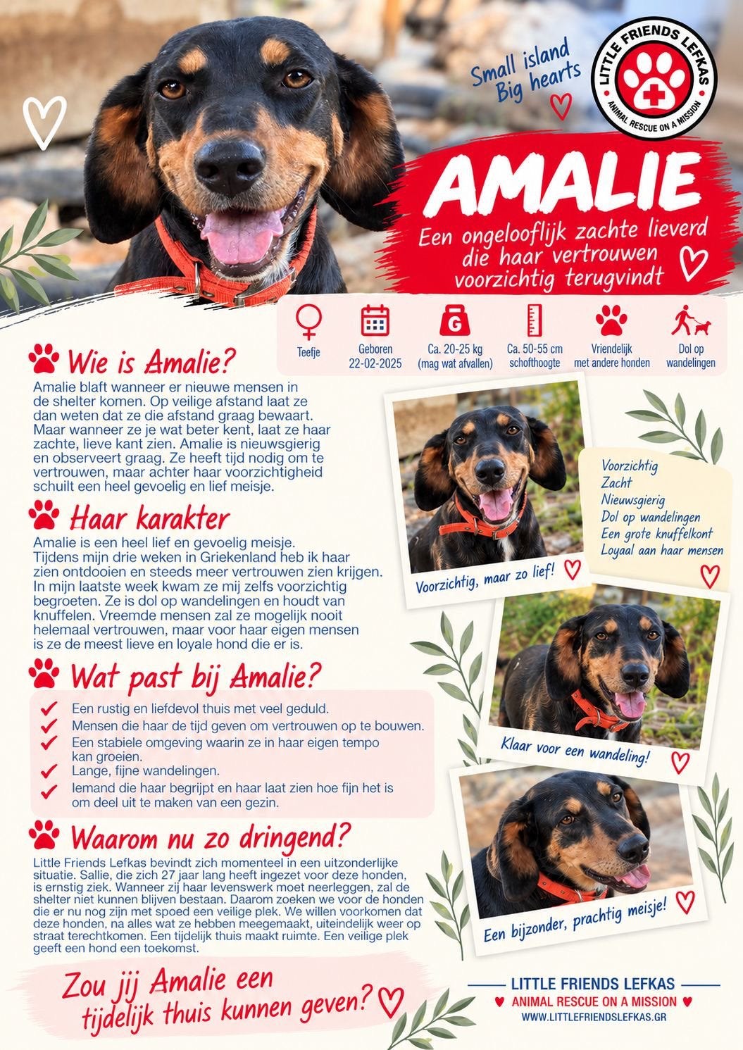 FOSTERGEZIN GEZOCHT VOOR AMALIE, Overige vormen, MBO, Geschikt als bijbaan, Overige uren