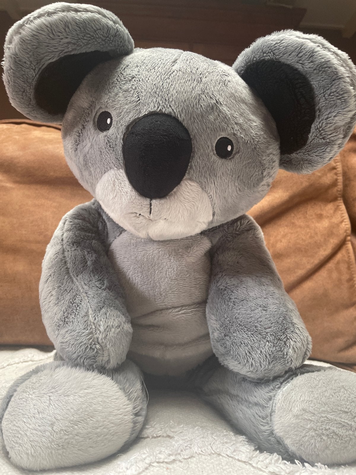 Zachte Koala Knuffel - Jouw Nieuwe Lotgenootje, Ophalen, Overige typen, Grijs, Zo goed als nieuw
