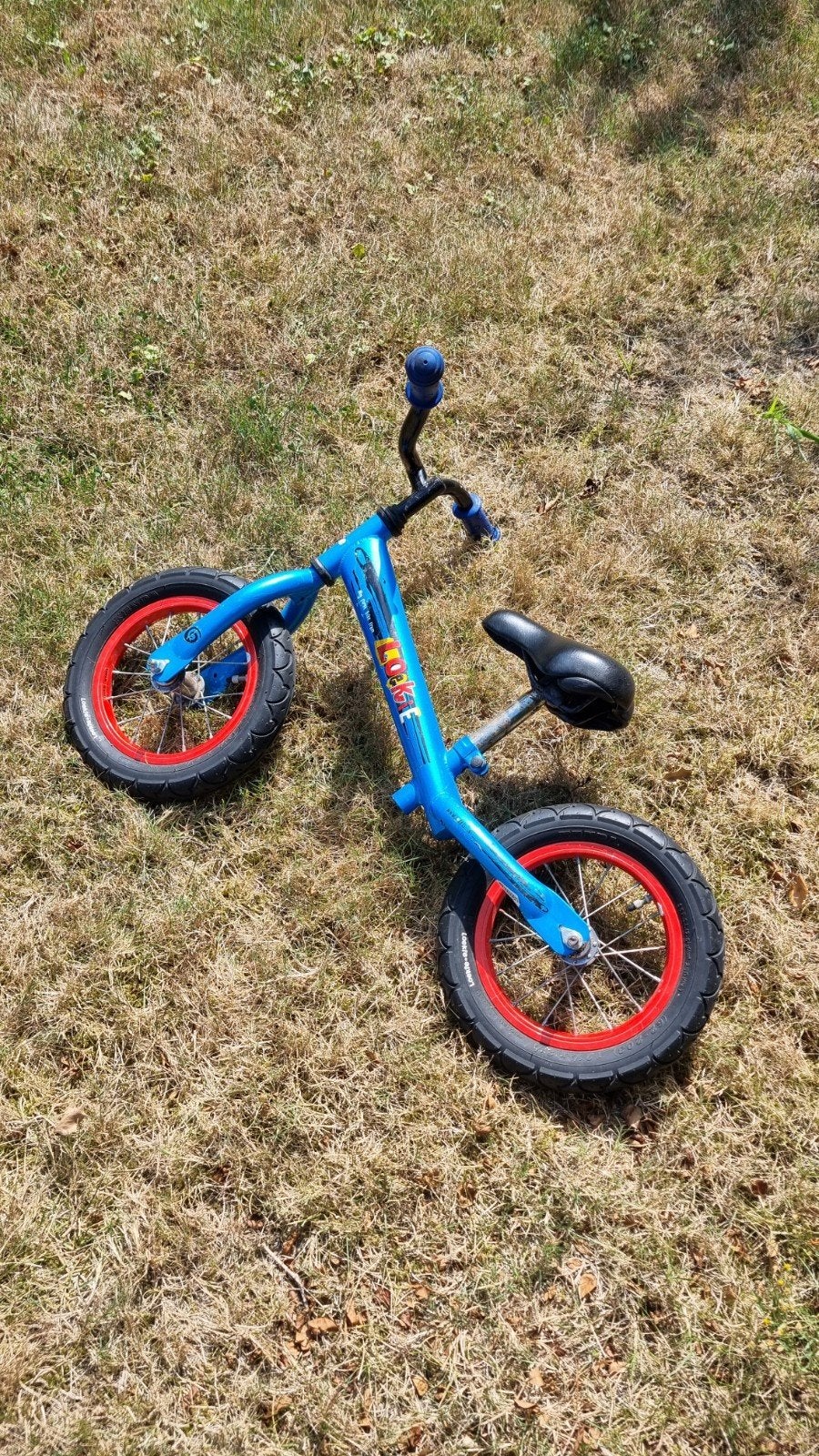 Loekie loopfiets blauw - goede staat!, Ophalen, Gebruikt, Minder dan 16 inch, Loekie