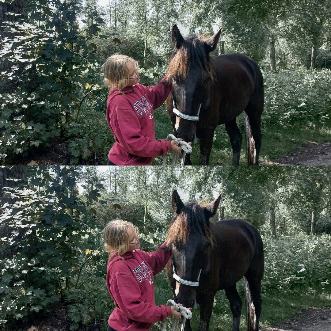 bijrijder/verzorger aangeboden (beschrijving), Ophalen