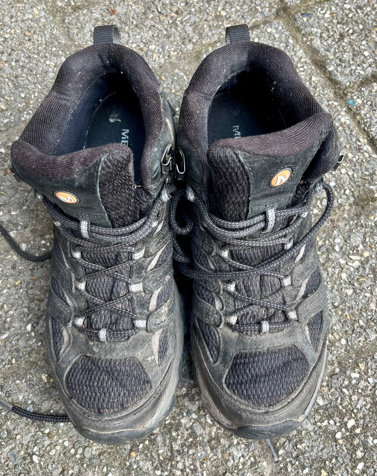 Merrell 42, valt als 41, Ophalen, Gebruikt, Schoenen