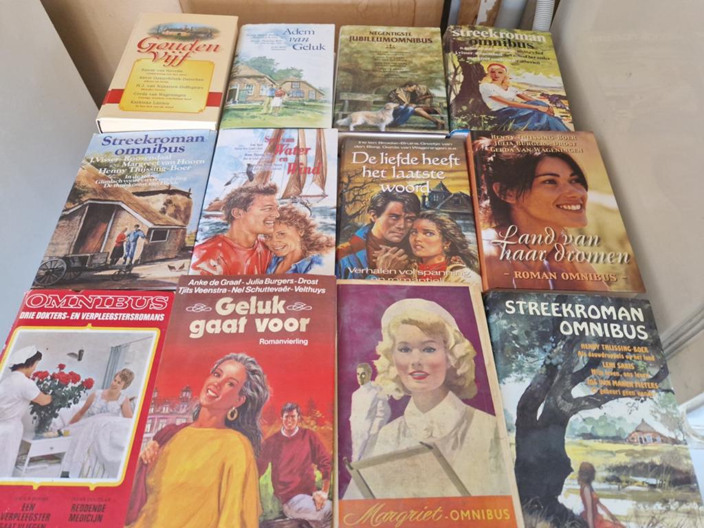 Omnibus romans, Boeken, Romans, Ophalen of Verzenden