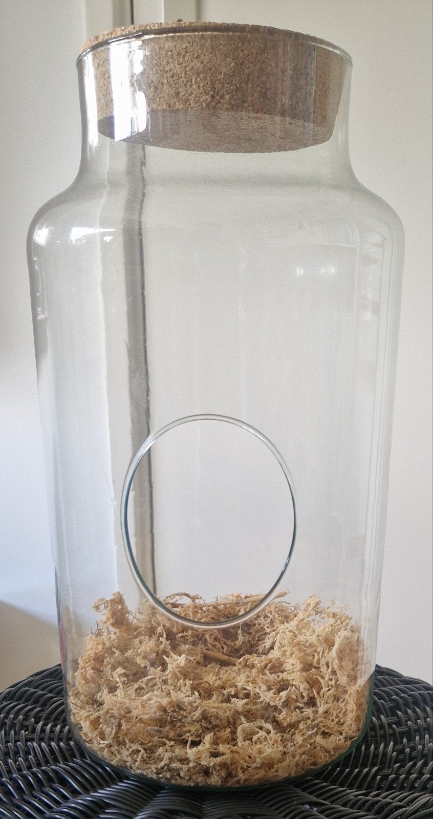 Open terrarium, Glas, Ophalen of Verzenden, Zo goed als nieuw, Met kurk