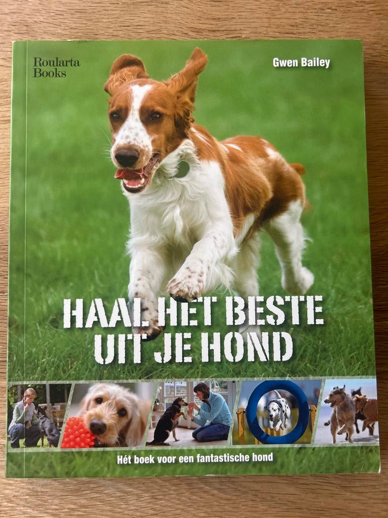 Haal het beste uit je hond - Gwen Bailey, Ophalen of Verzenden, Zo goed als nieuw, Honden