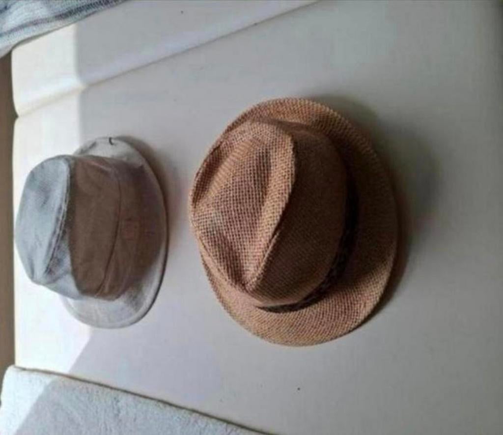 2 leuke hoeden, Ophalen of Verzenden, Zo goed als nieuw, One size fits all, Hoed