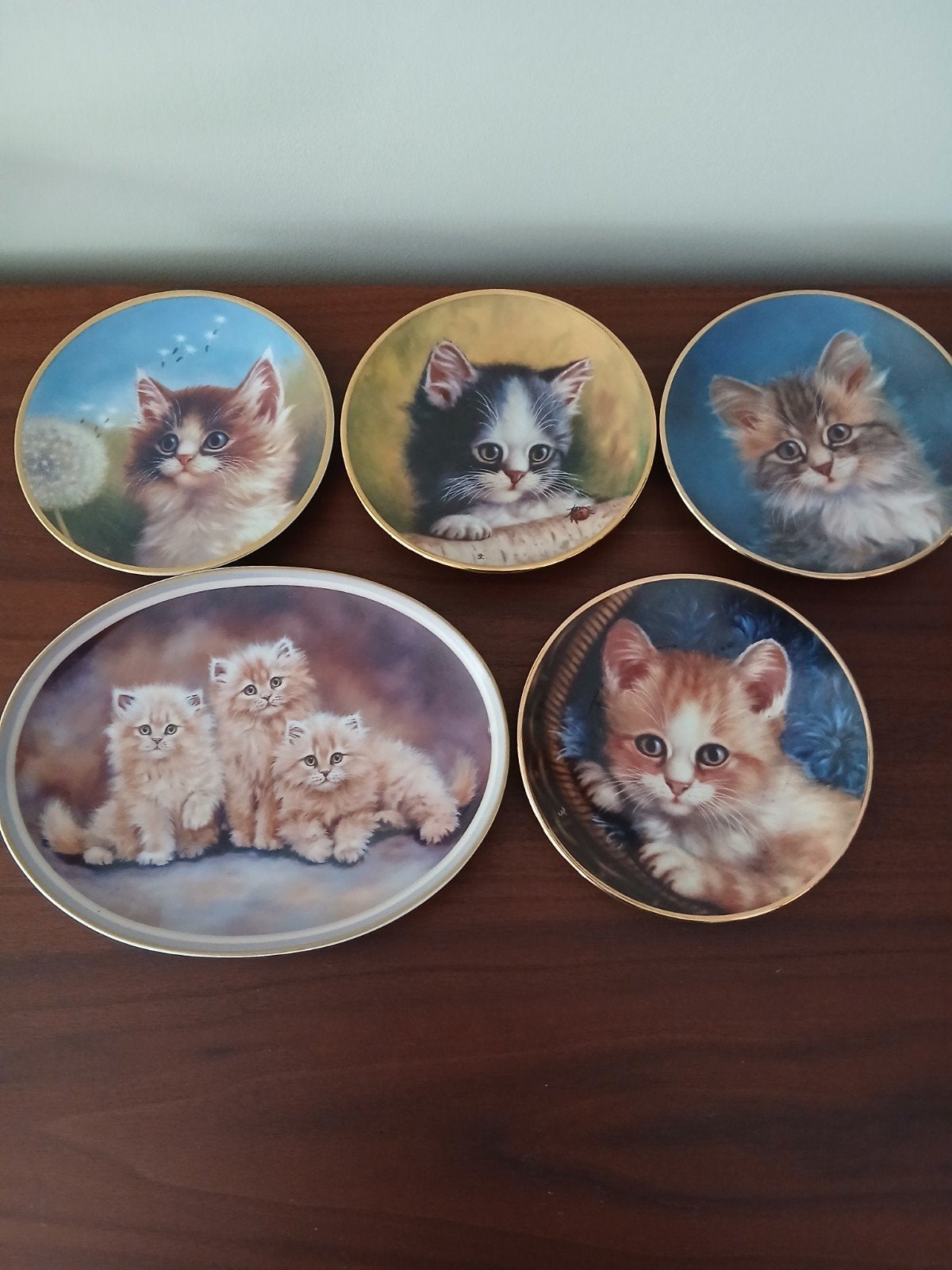 katten borden zie foto's en beschrijving, Ophalen