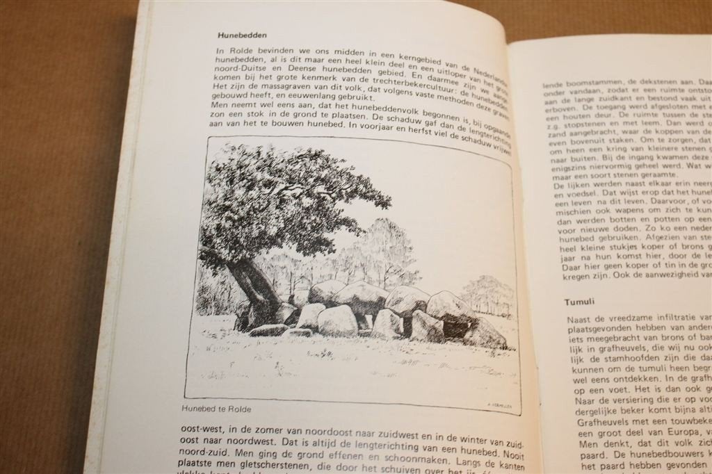 Rondom Rolde — Vroeger en Nu, Boeken, Geschiedenis | Stad en Regio, Ophalen of Verzenden, Gelezen