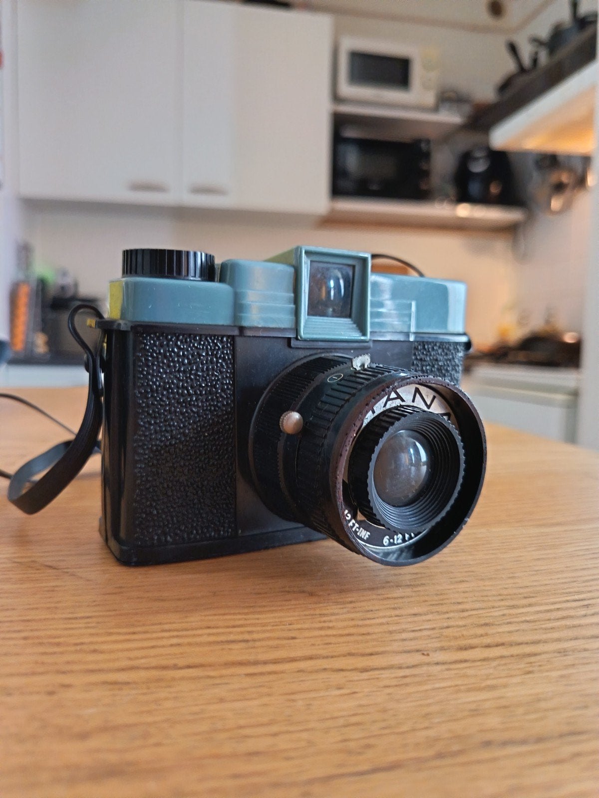 Vintage Diana 120 Film Camera - Klassieke Analoge Camera, Ophalen of Verzenden, Gebruikt, Compact, Overige Merken