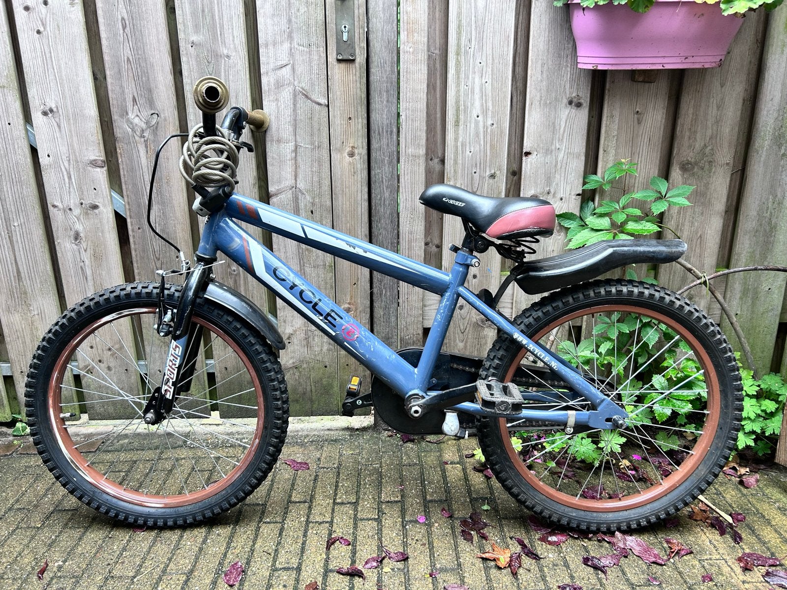 2Cycle Sports 20 inch kinderfiets - Blauw, Ophalen, Gebruikt, Velgrem, 16 tot 20 inch