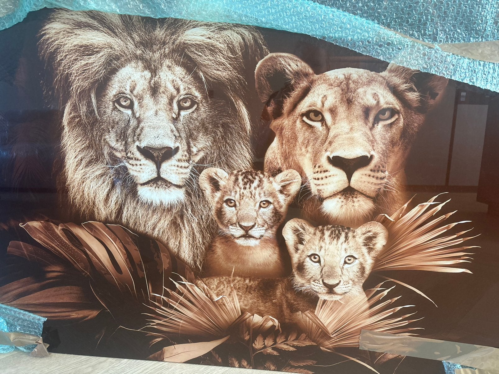 Lion Family wanddecoratie – plexiglas, Ophalen