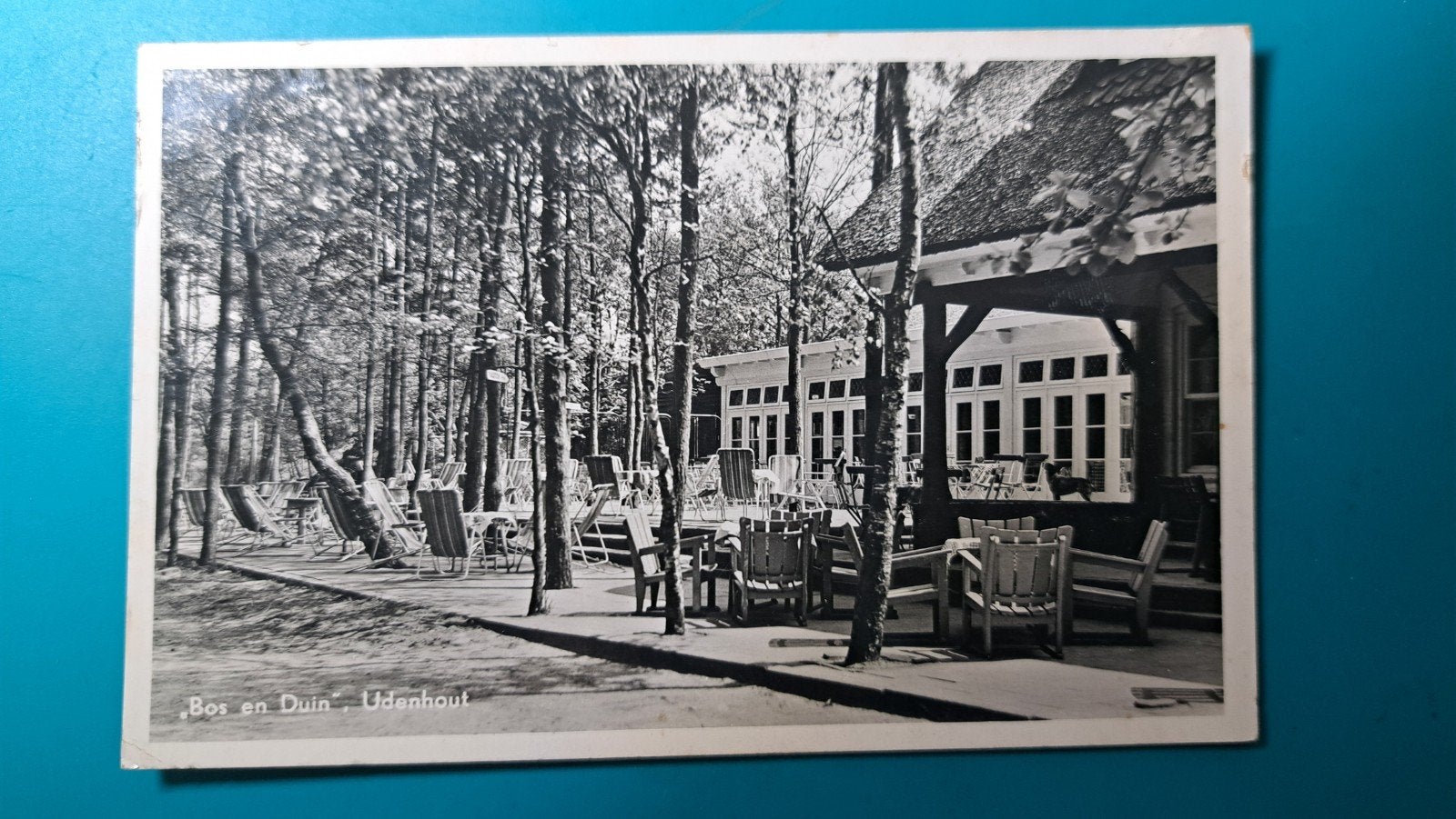 Udenhout Bos en Duin 1958, Ophalen of Verzenden, 1940 tot 1960, Gelopen, Noord-Brabant