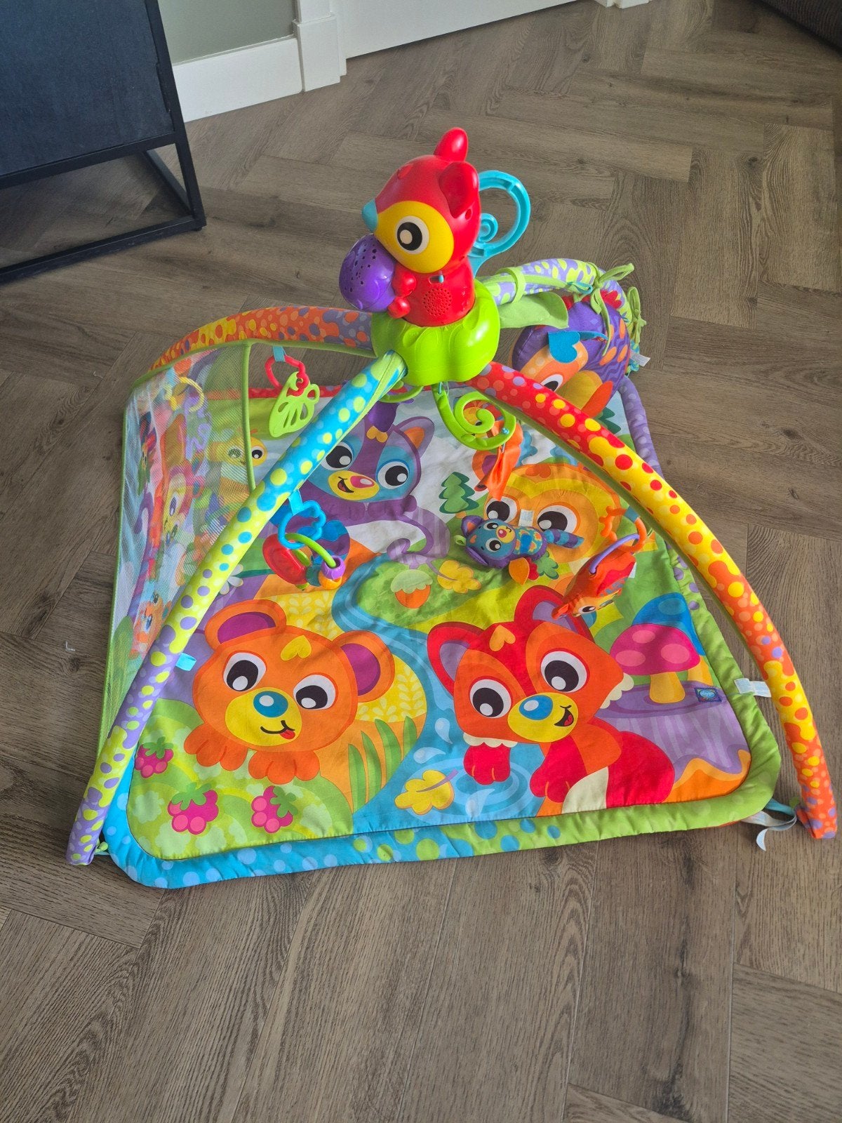 Playgro Speelkleed met Babygym - Kleurrijk en Interactief, Ophalen, Zo goed als nieuw, Babygym, Met licht