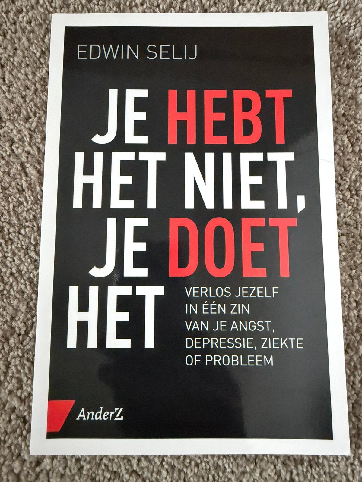 Je hebt het niet, je doet het - Edwin Selij, Verzenden, Zo goed als nieuw