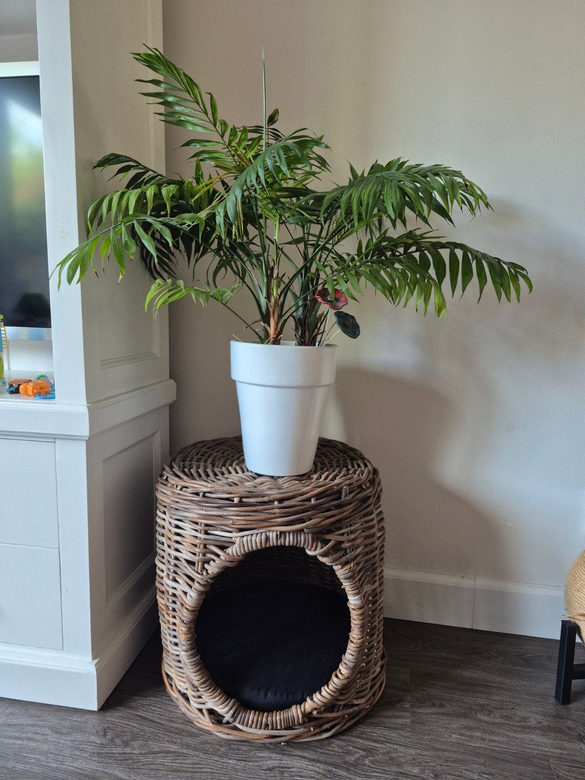 Rotan kattenmand, Ophalen, Zo goed als nieuw