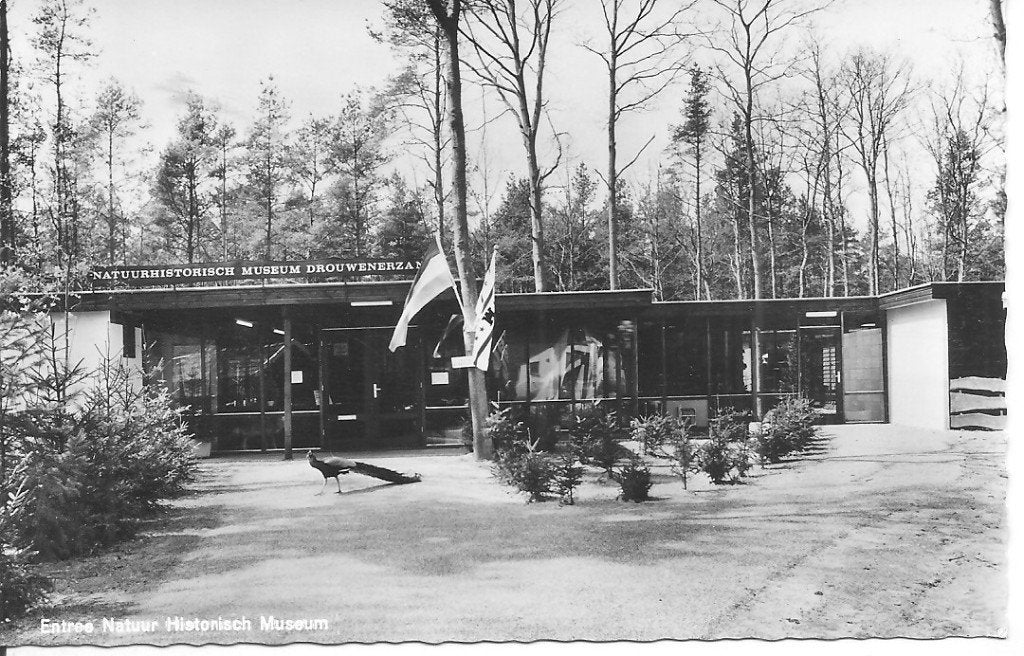 Ansichtkaart Natuurhistorisch Museum Drouwenerzand, Ophalen of Verzenden, 1960 tot 1980, Ongelopen, Drenthe