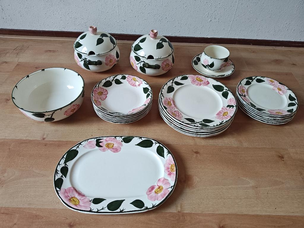 Servies Villeroy & Boch Wild Rose, Ophalen, Zo goed als nieuw, Overige stijlen, Porselein