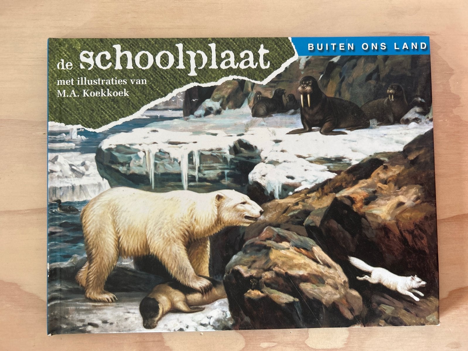 De Schoolplaat - Buiten ons Land (M.A. Koekkoek), Ophalen of Verzenden, Zo goed als nieuw, Natuur algemeen