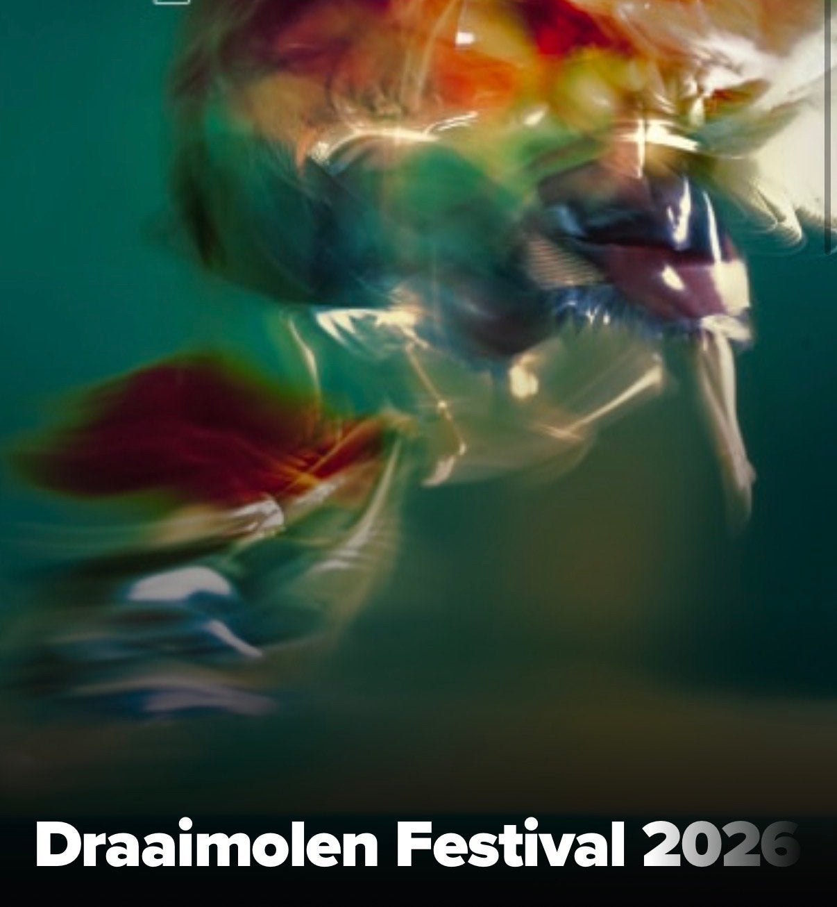 Draaimolen festival  kaartje zaterdag regukat, Tickets en Kaartjes, Concerten | House, Techno en Trance, Eén persoon