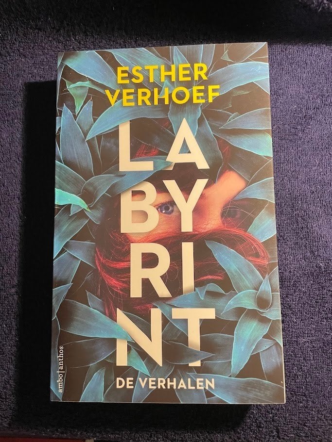 Boek: Labyrint – Esther Verhoef., Boeken, Ophalen of Verzenden, Zo goed als nieuw, Nederland, Esther Verhoef.