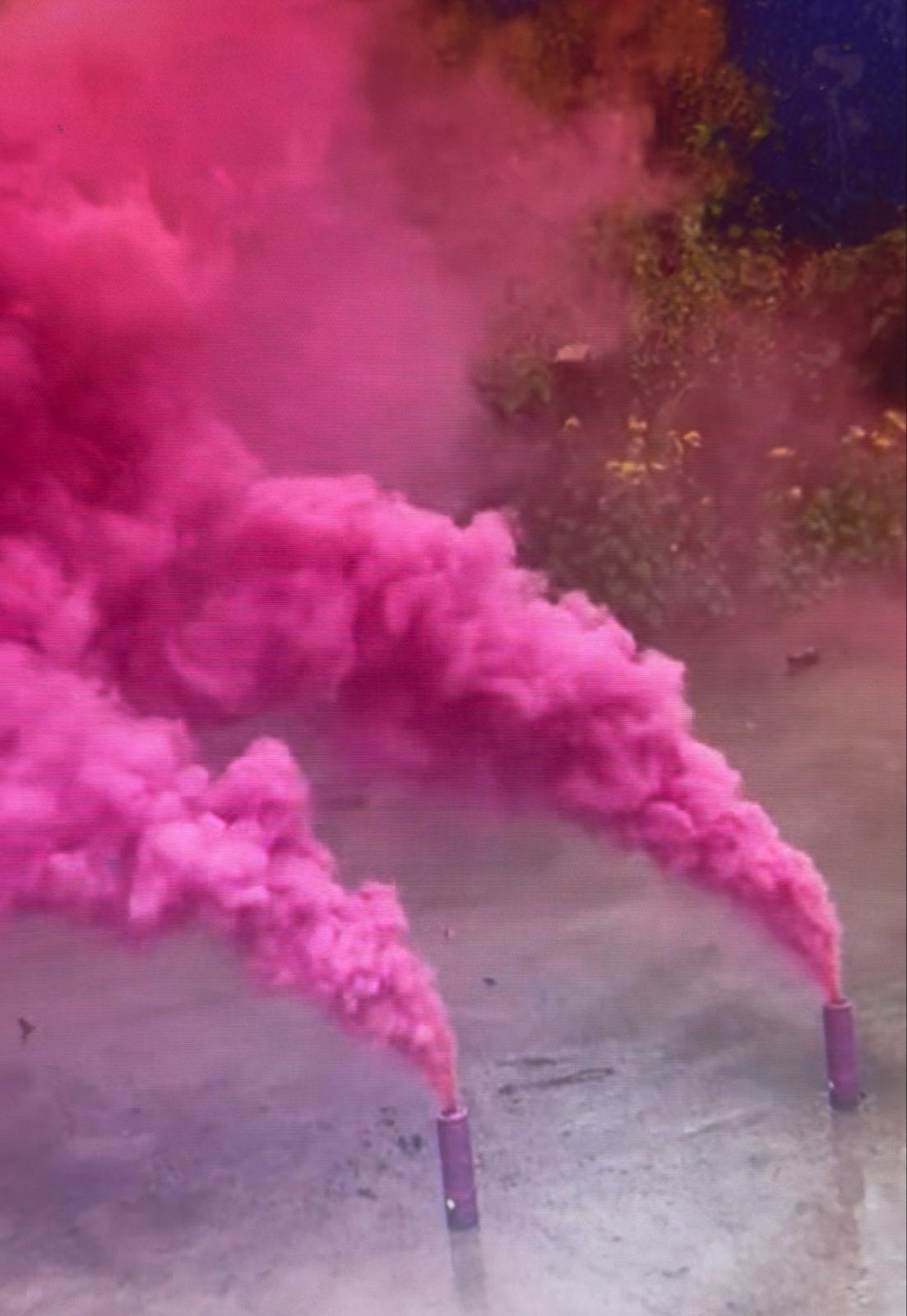 Gender Reveal Rookbom - Jongen of Meisje, Ophalen, Nieuw, Feestartikel, Geboorte of Huwelijk