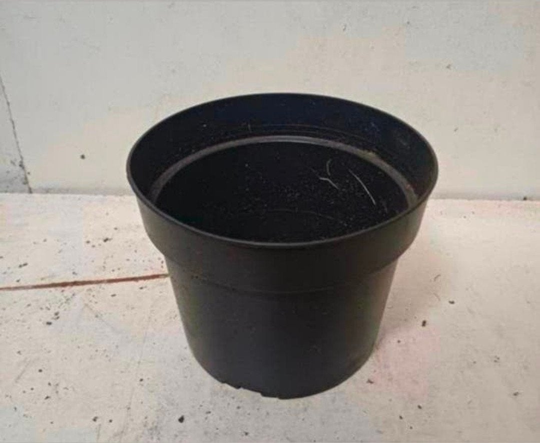 Kweekpotten plantenpotten bloempotten 2 liter, Kunststof, Gebruikt, Rond, Ophalen of Verzenden
