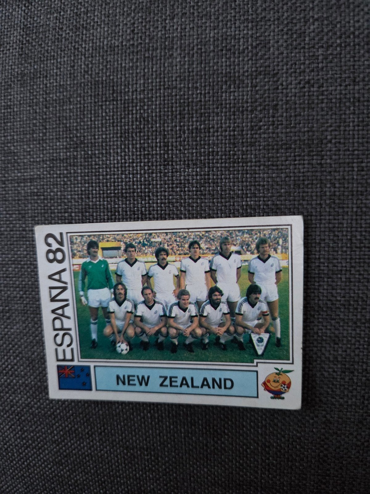 Panini WK 82, Ophalen of Verzenden, Zo goed als nieuw, Buitenlandse clubs, Poster, Plaatje of Sticker