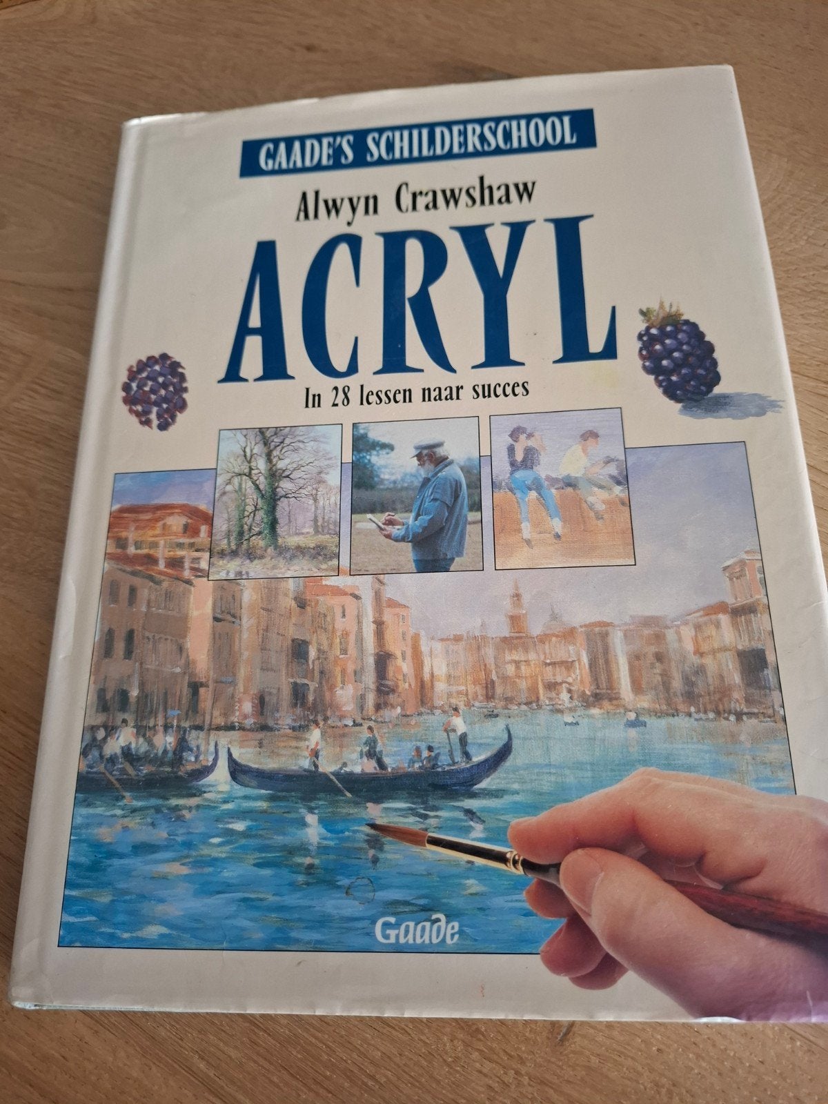 Gaade's Schilderschool: Acryl - In 28 lessen naar succes, Boeken, Ophalen of Verzenden, Zo goed als nieuw, Overige onderwerpen