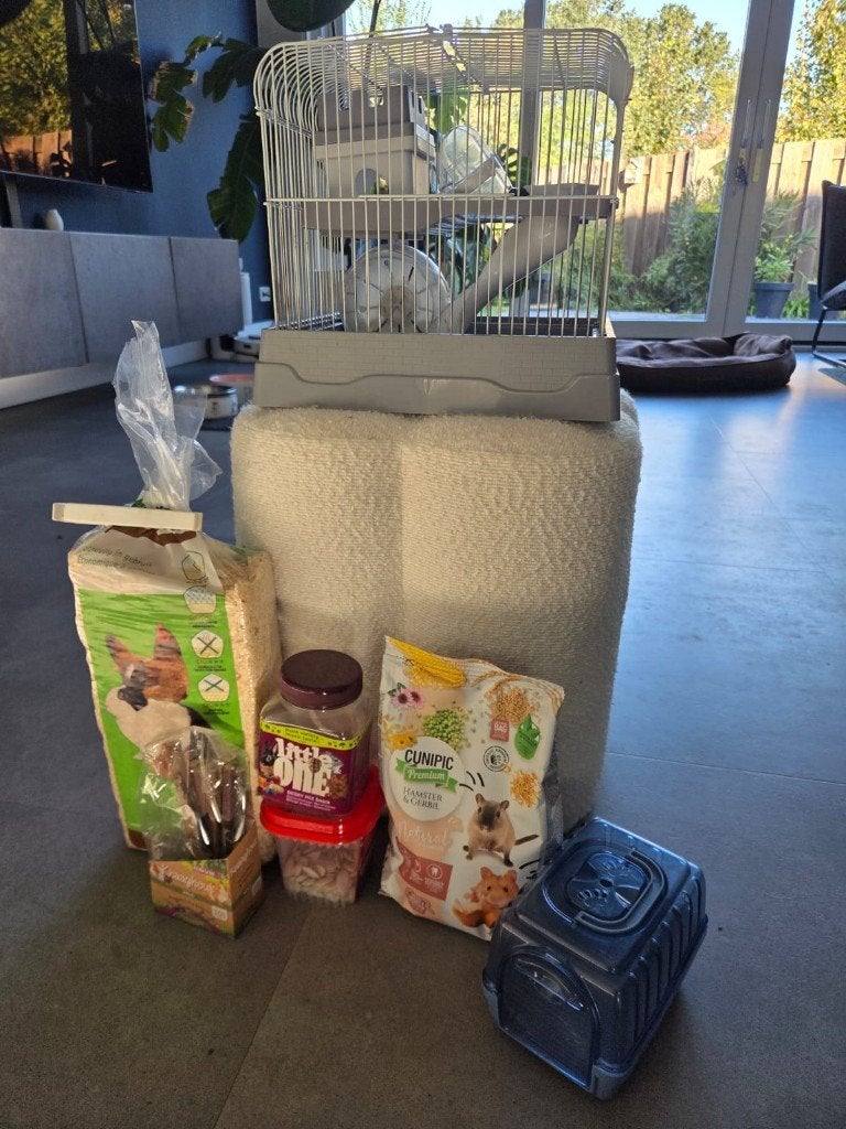 Complete hamsterset, kooi met accessoires en voorraad, Kooi, Gebruikt, Minder dan 75 cm, Hamster