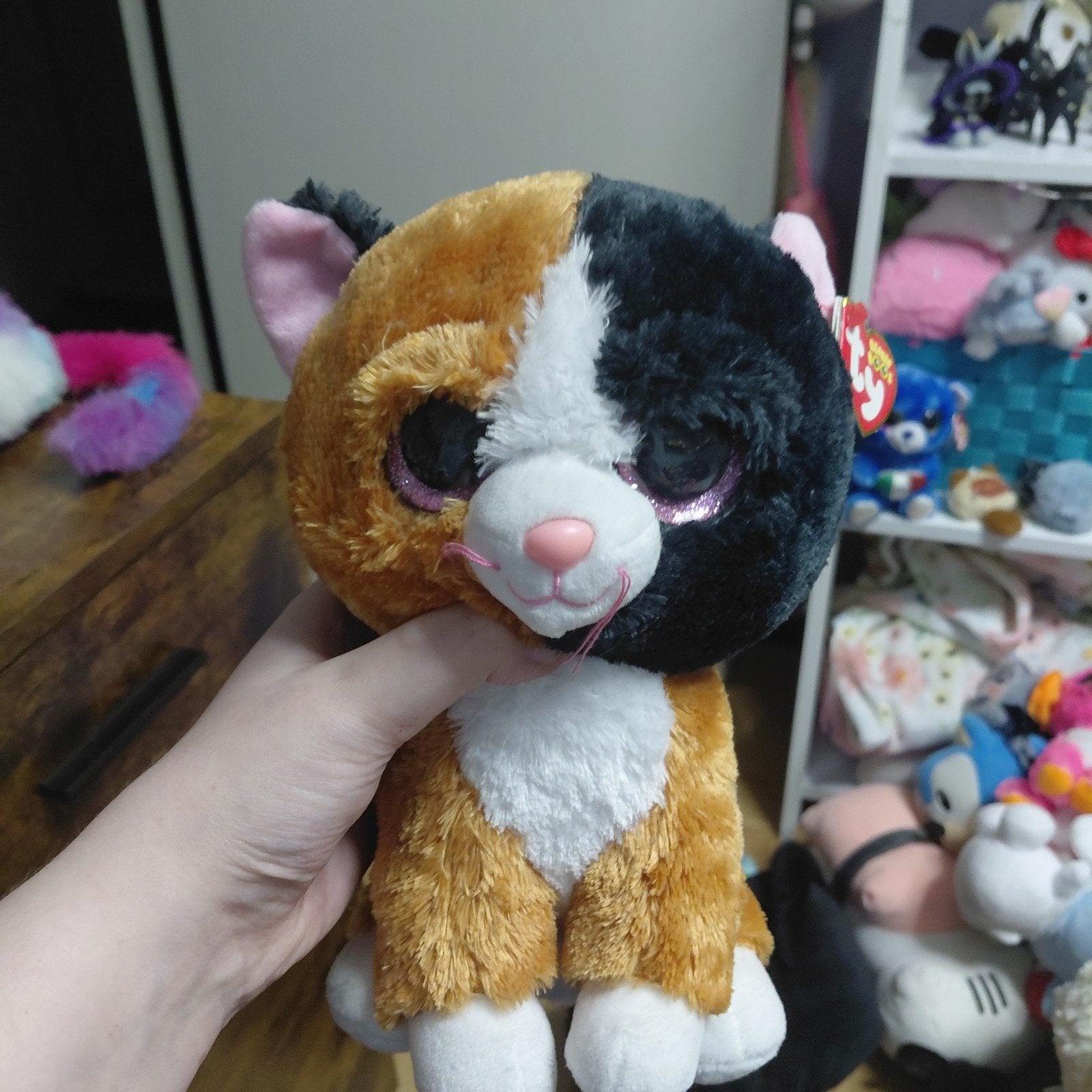 Ty Beanie Boos Tauri the Cat knuffel, Overige karakters, Nieuw, Ophalen of Verzenden, Met label