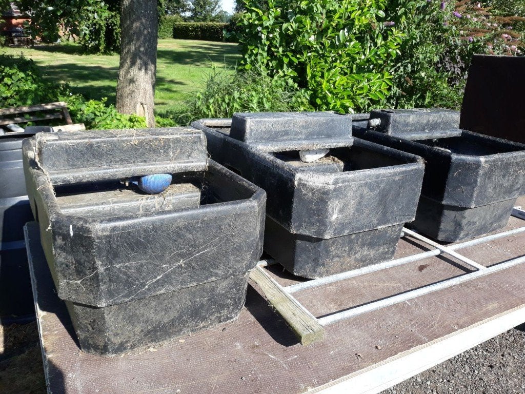 Vijf waterbakken en drie droogvoerbakken (geit/schaap/big), Dieren en Toebehoren, Meerdere dieren, Geit
