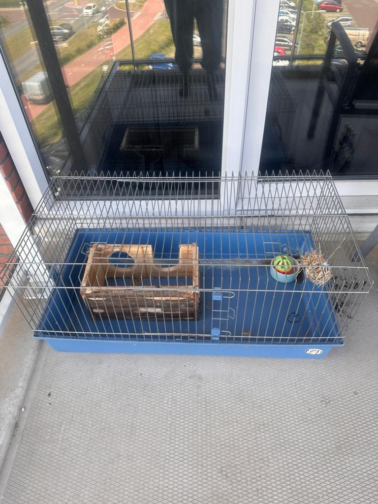 Konijnenkooi cavia kooi groot, Ophalen