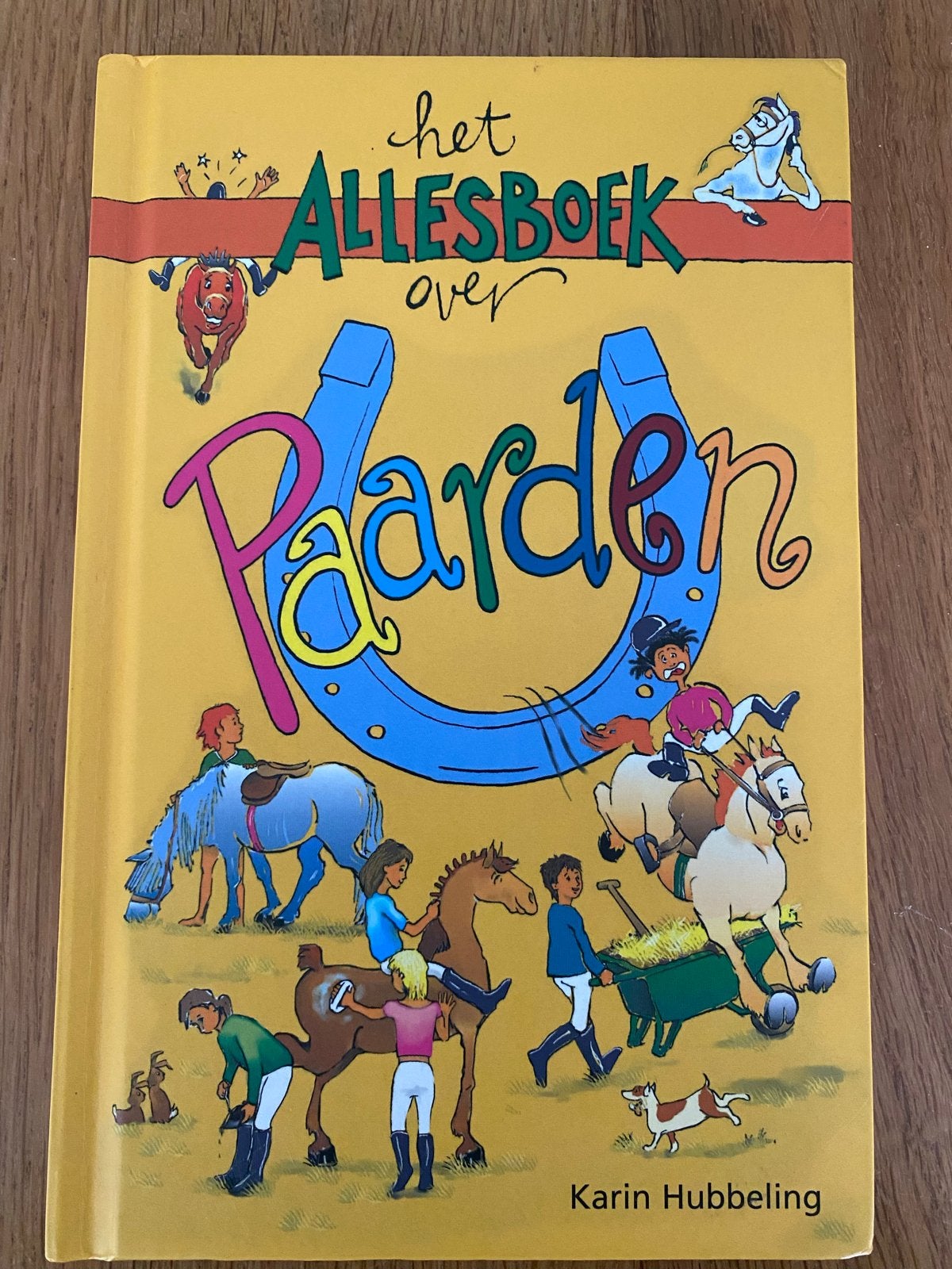 Het Allesboek over Paarden - Karin Hubbeling, Boeken, Ophalen of Verzenden, Zo goed als nieuw, Non-fictie