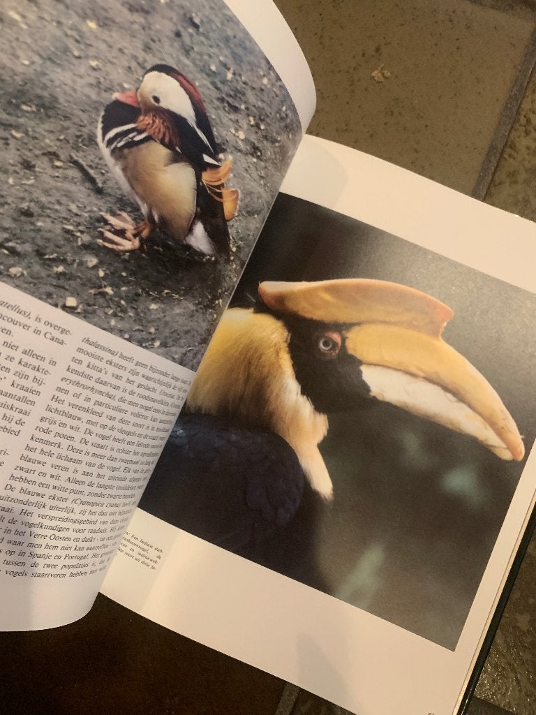 De Wonderlijke Natuur Tropische Vogels - vogelboek, Ophalen of Verzenden, Gelezen, Vogels