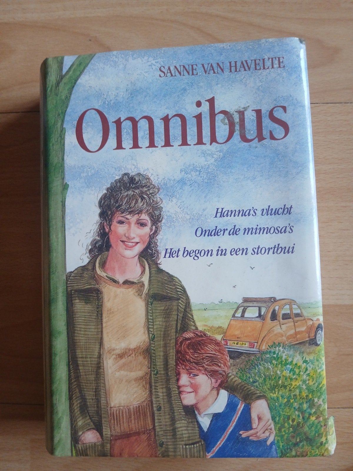 Sanne van Havelte Omnibus - Hanna's vlucht, Onder de mimosa', Ophalen of Verzenden, Gelezen, Sanne van Haelte, Nederland