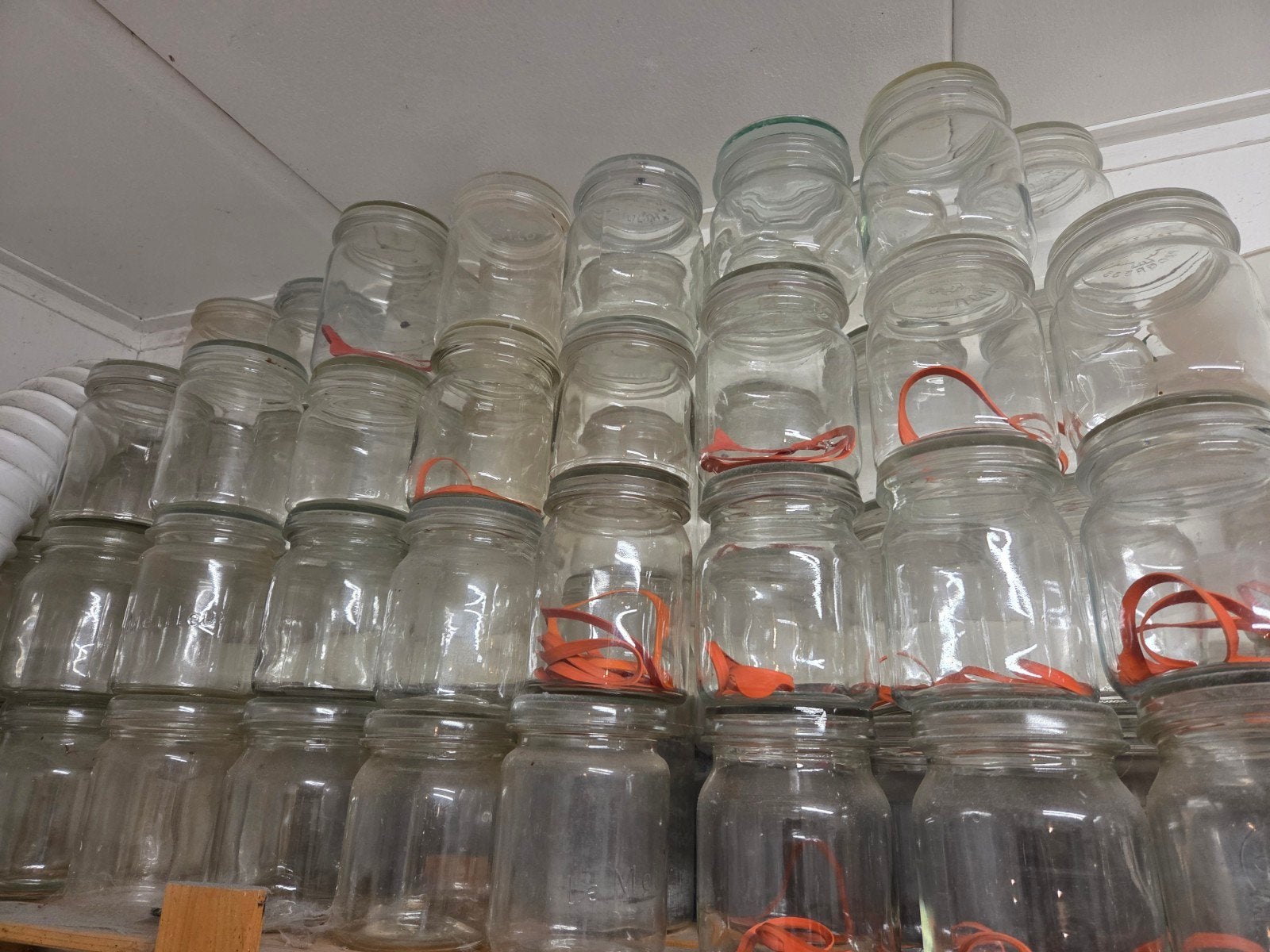 Weckflessen, Huis en Inrichting, Keuken | Potten en Pannen, Ophalen, Gebruikt, Glas