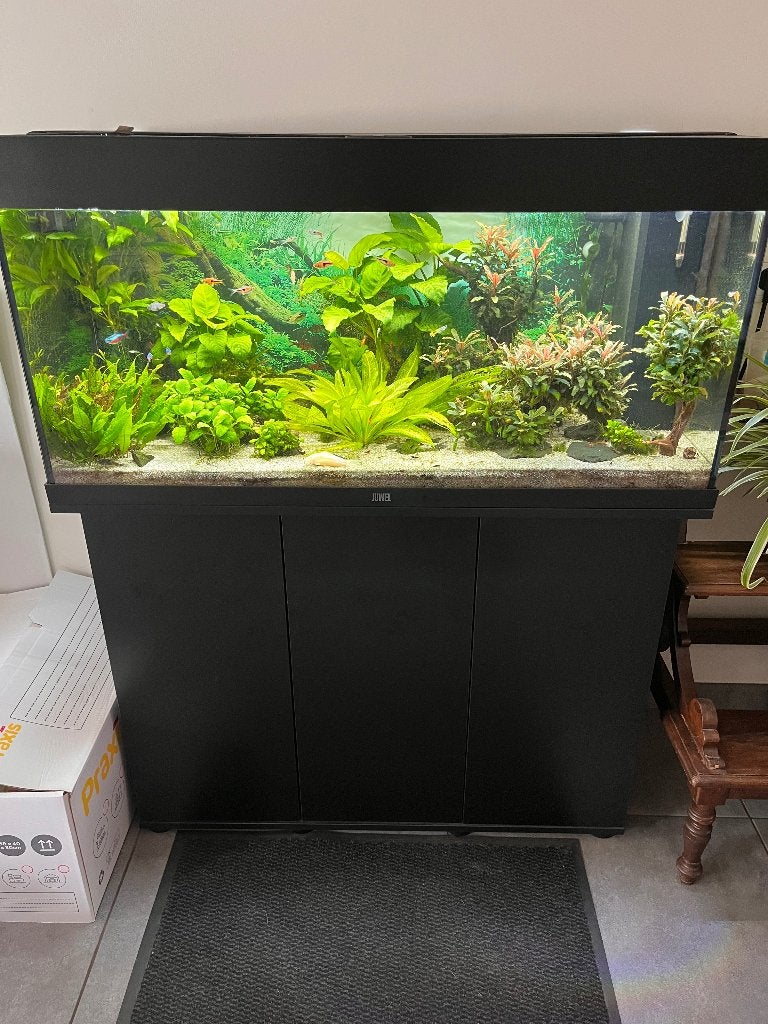 Aquarium juwel inclusief alles, Dieren en Toebehoren, Vissen | Aquaria en Toebehoren, Gebruikt, Gevuld zoetwateraquarium, Inclusief deksel